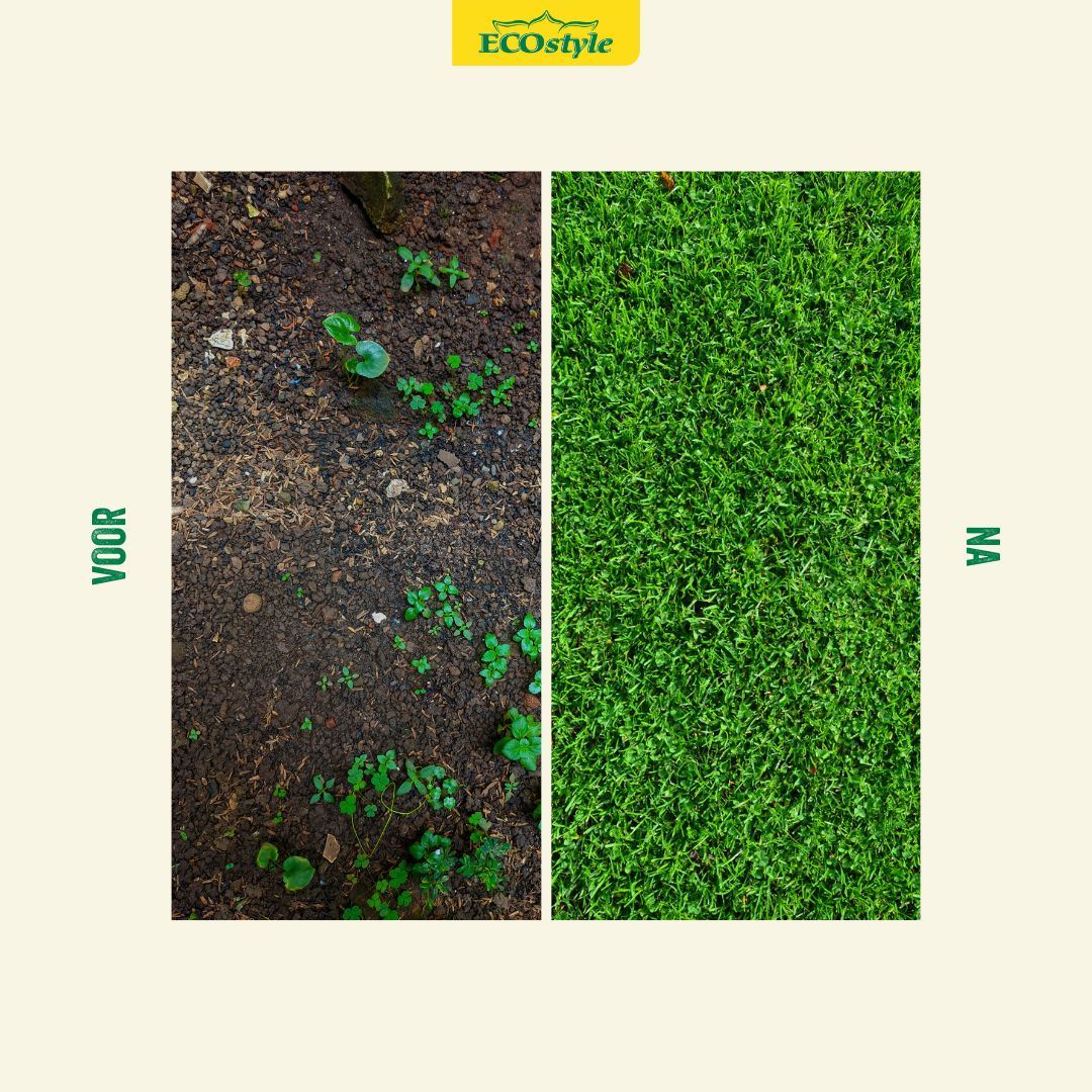 Graszaad-Inzaai-1-kg