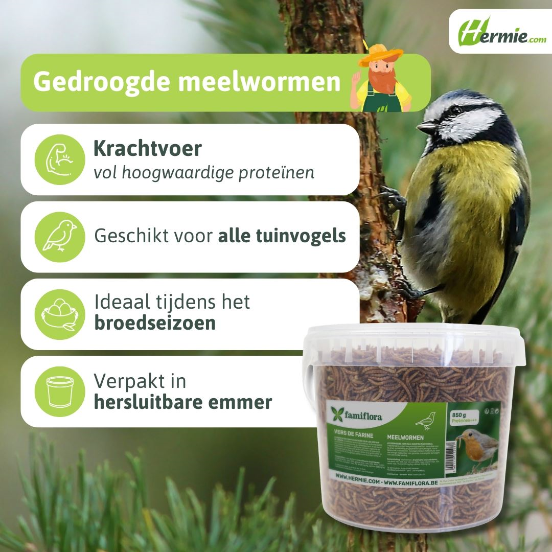 Famiflora vers de farine séchés 850 g = ± 5L en seau refermable - pour oiseaux de jardin