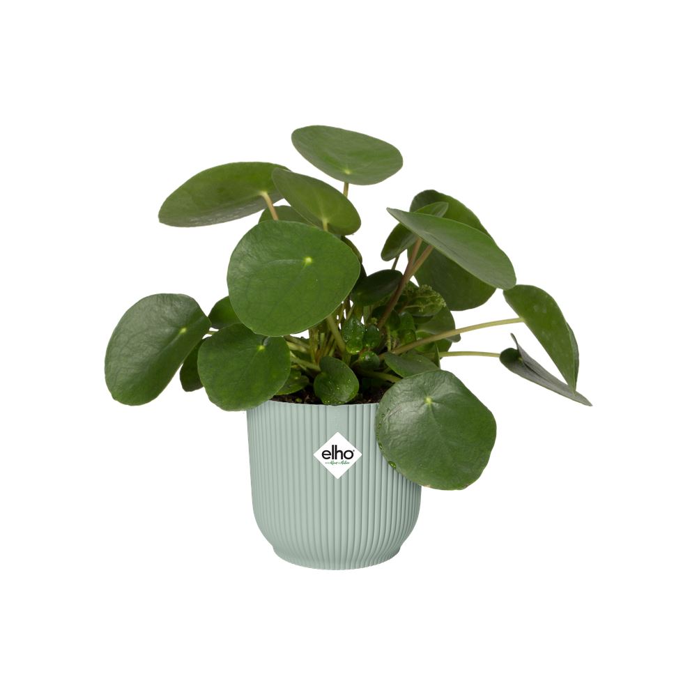 Bloempot-Vibes-fold-rond-16cm-Sorbet-groen