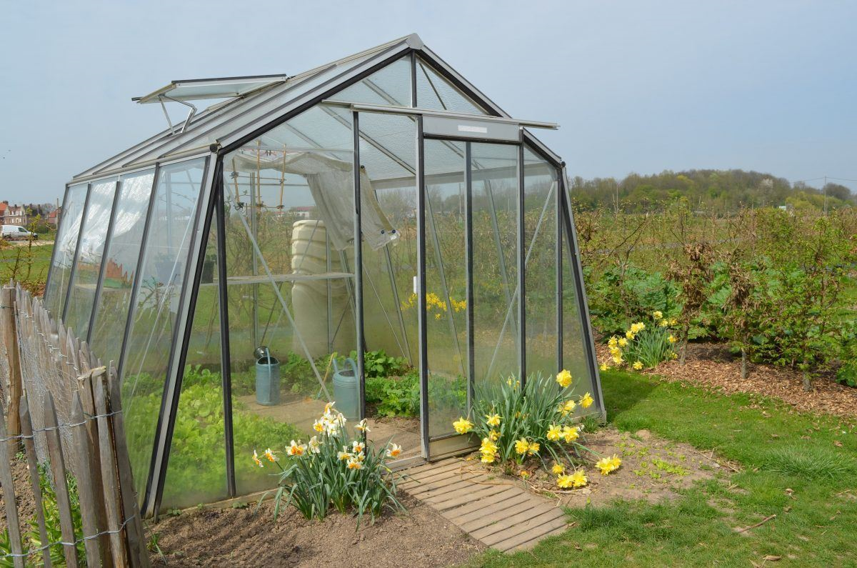 ACD Prestige S104 serre - 3,06 x 2,98m - Aluminium