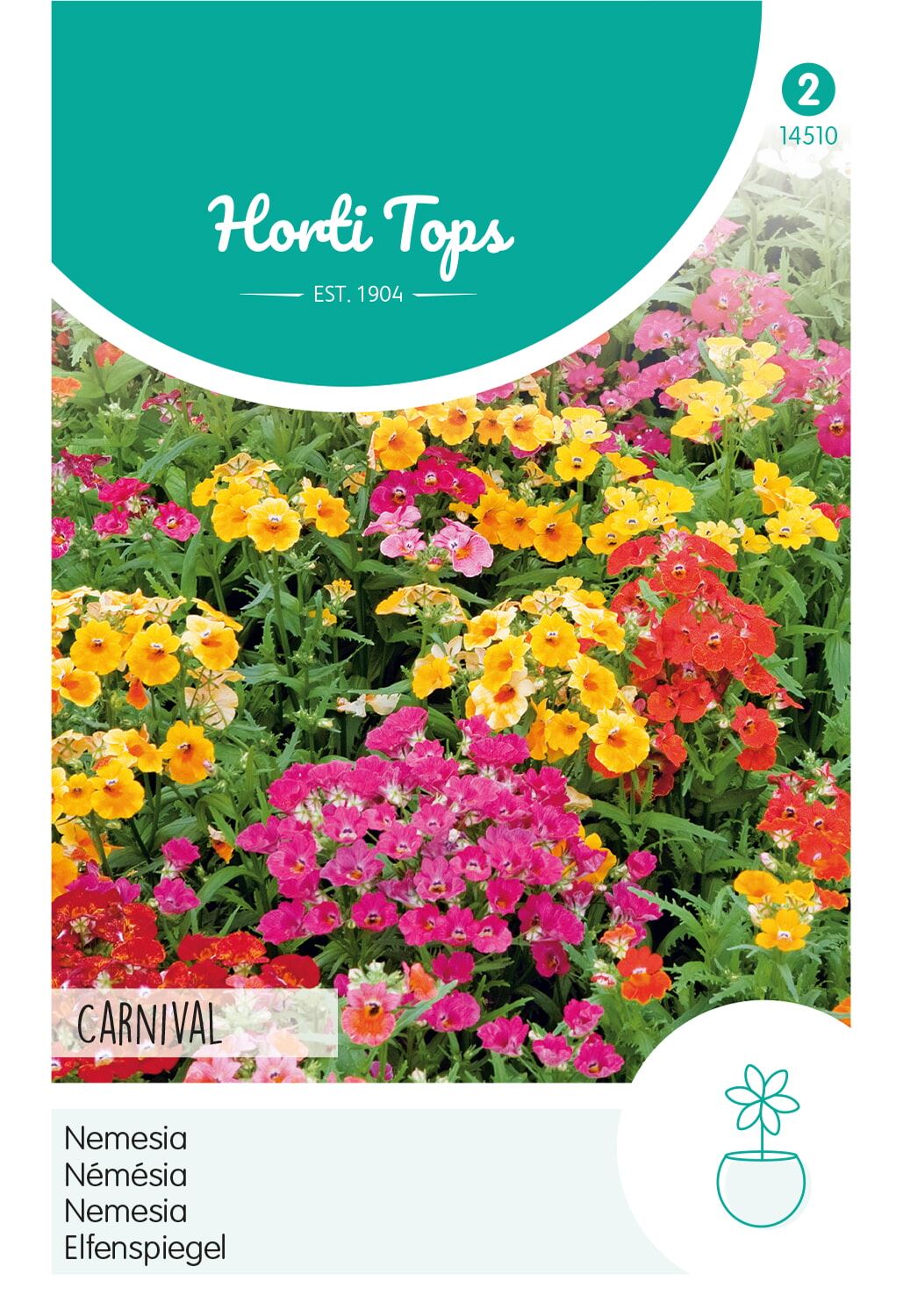 Nemesia Strumosa Carnaval Gem.