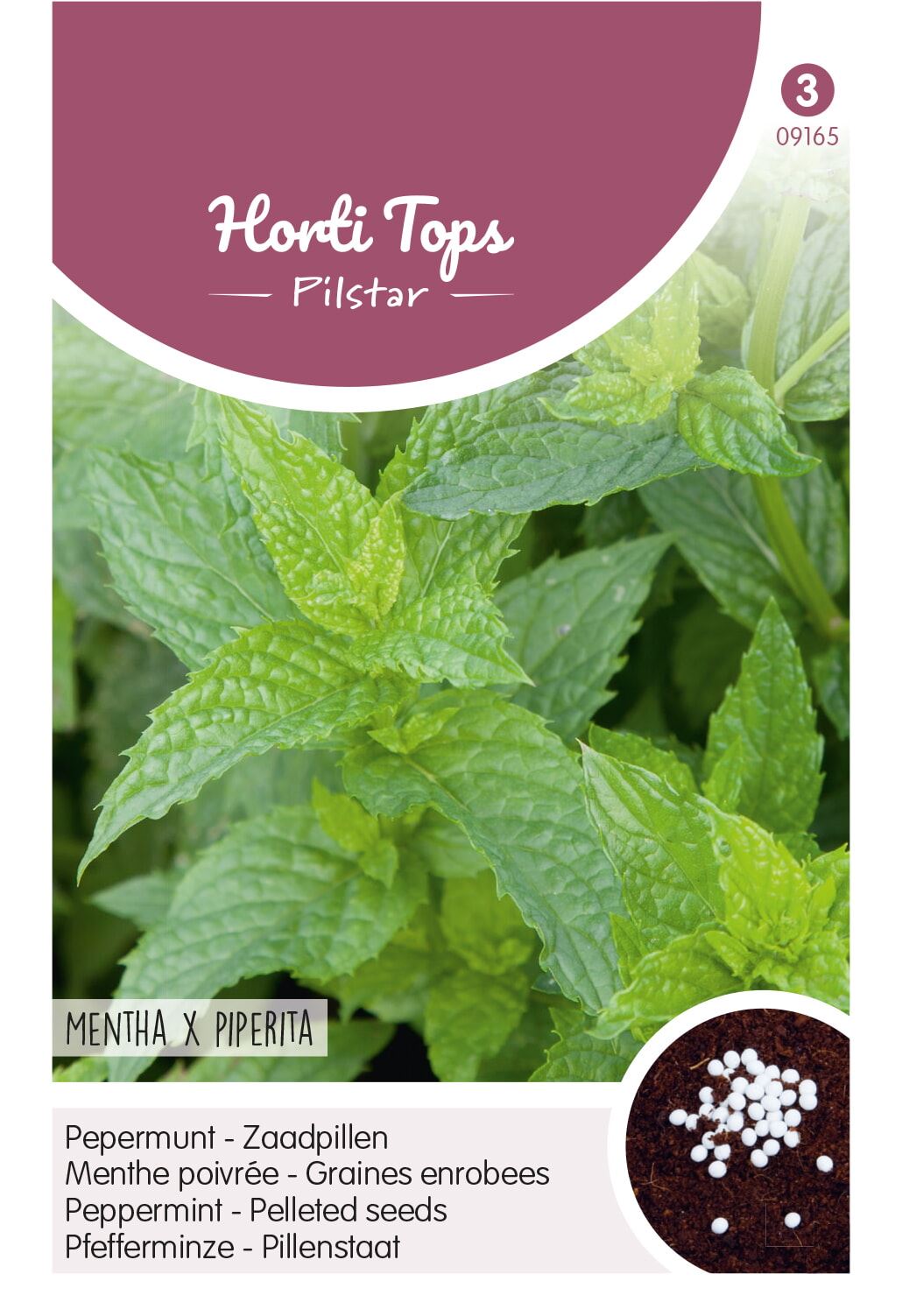 Horti Tops Pilstar pepermunt zaadpillen