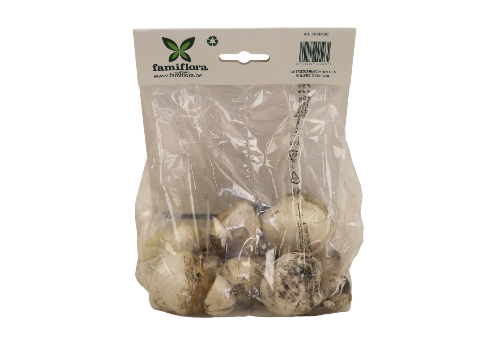 Famiflora Allium Mix Pourpre/Blanc - 12 bulbes - Taille 10/12 - Bulbes de printemps