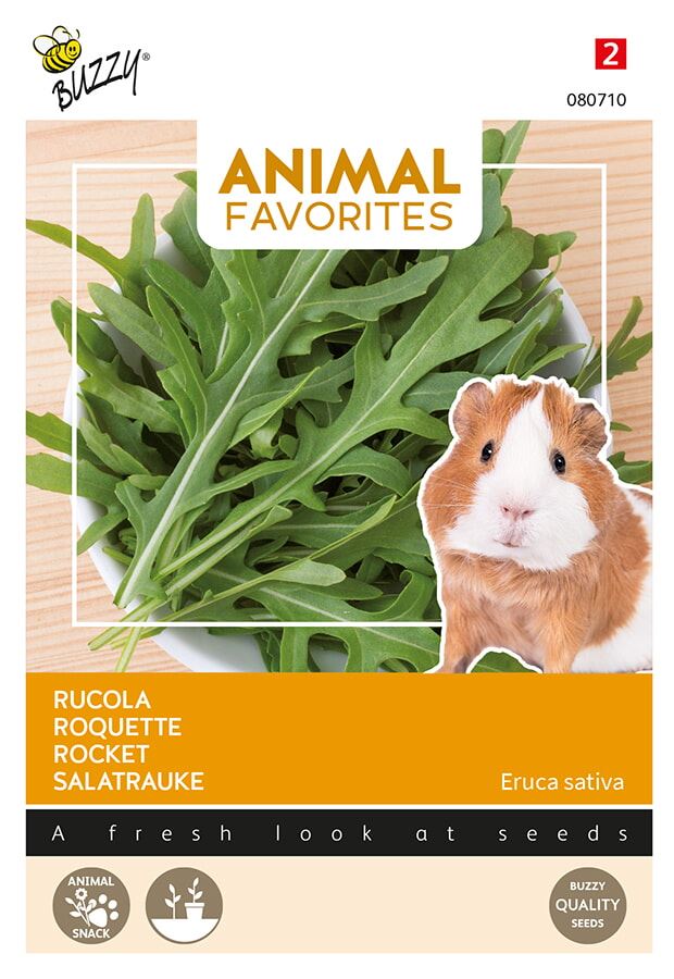 Buzzy Animal Favorites Arugula for Guinea pigs