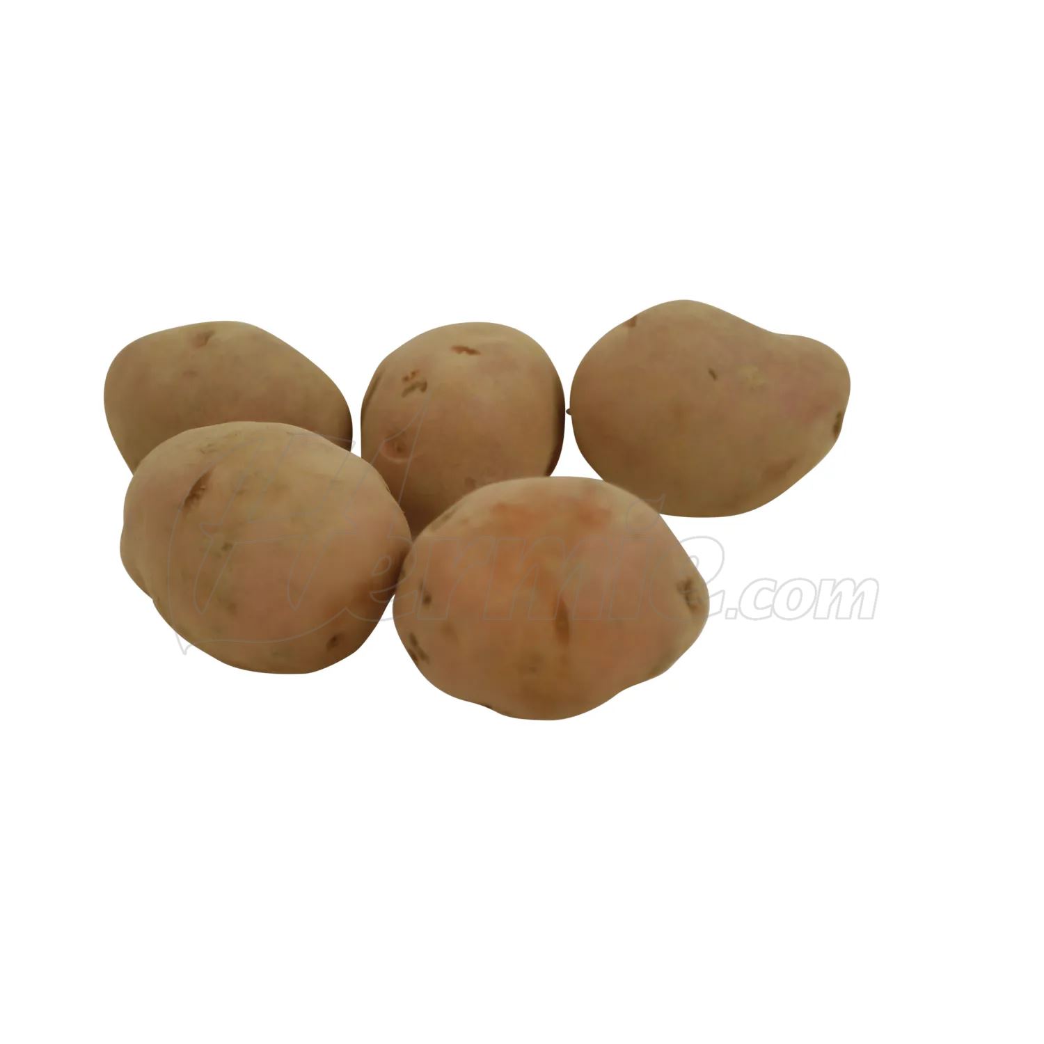 Pootaardappel-Rosabelle-zakje-1-5kg-rood-25-35-Frankrijk-