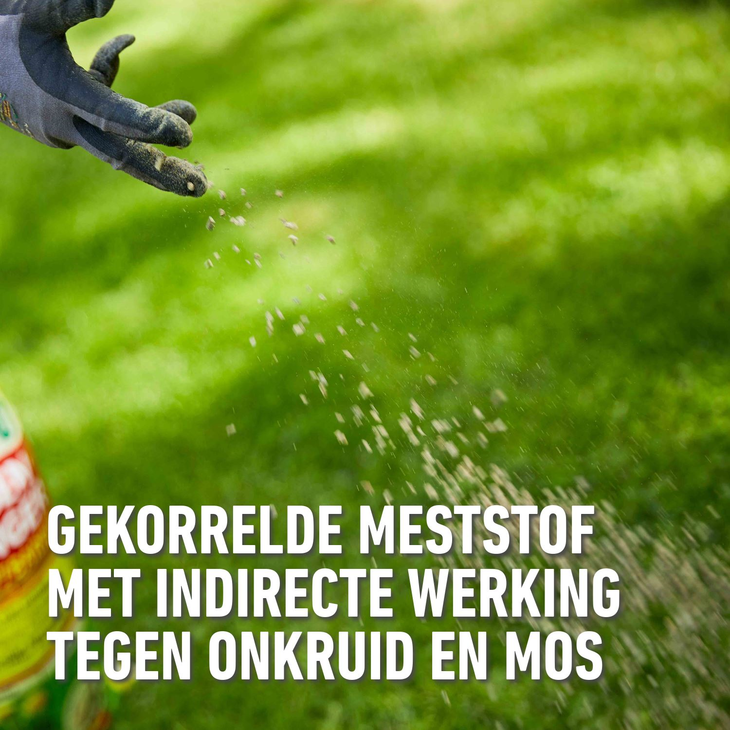 ECOstyle Gazon AZ Organische Gazonmest – Voor een Diepgroen en Sterk ECOstyle Gazon AZ Organische Gazonmest – Voor een Diepgroen en Sterk