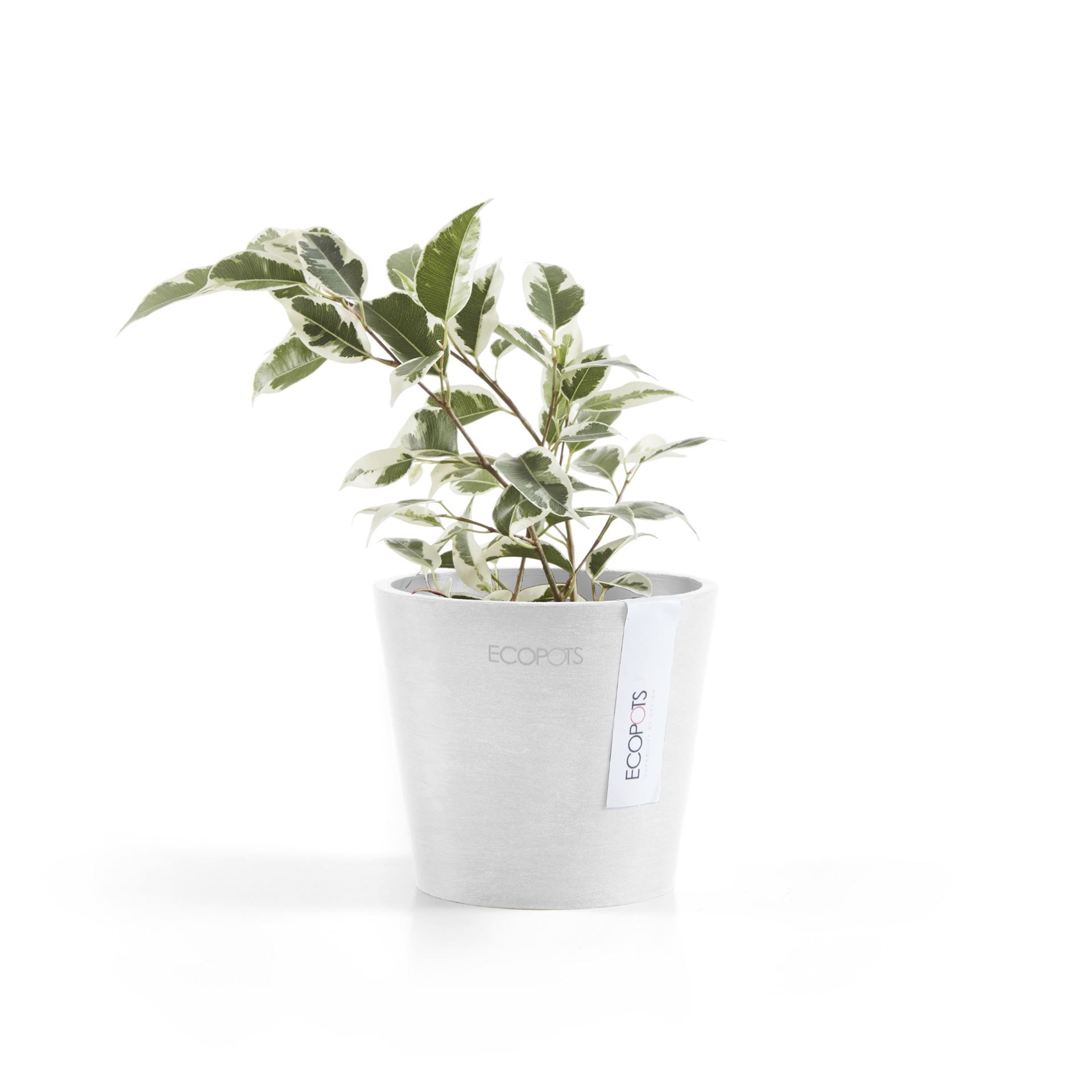 Ecopots-amsterdam-mini-pure-white-10-5-cm-H9-2-cm