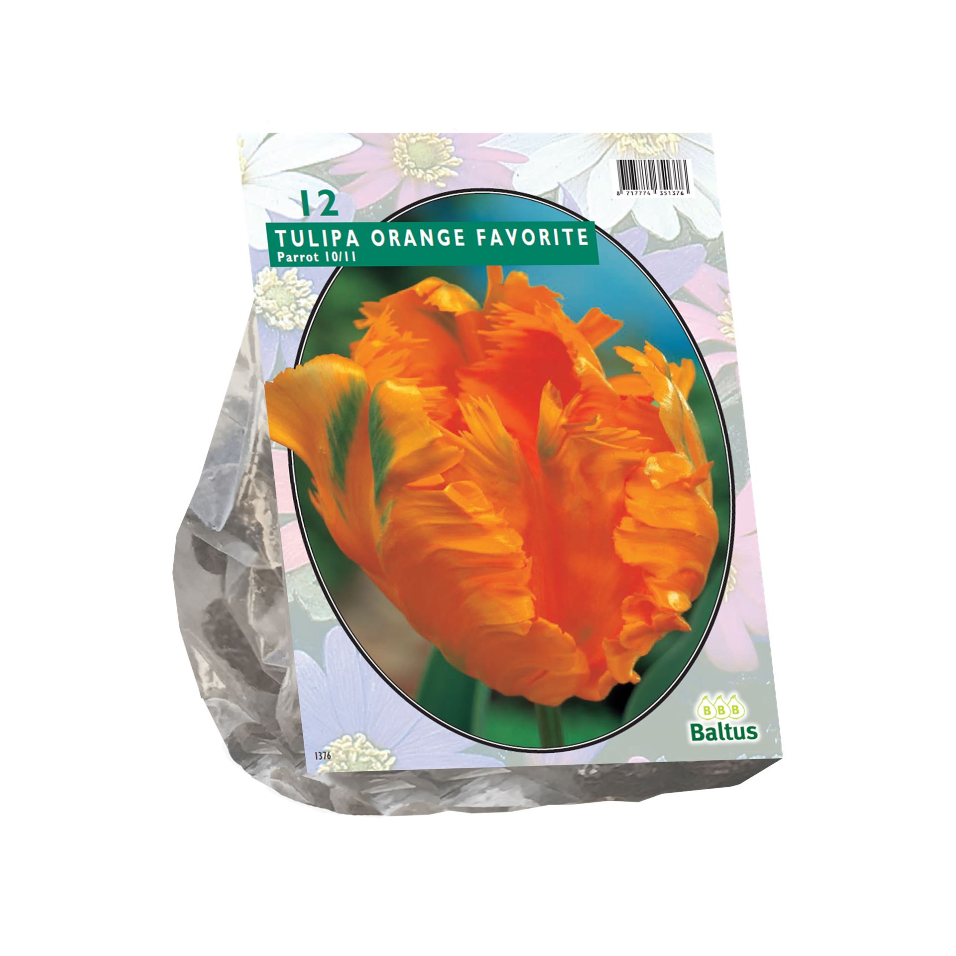 Tulipa-Orange-Favourite-Parkiet-per-12