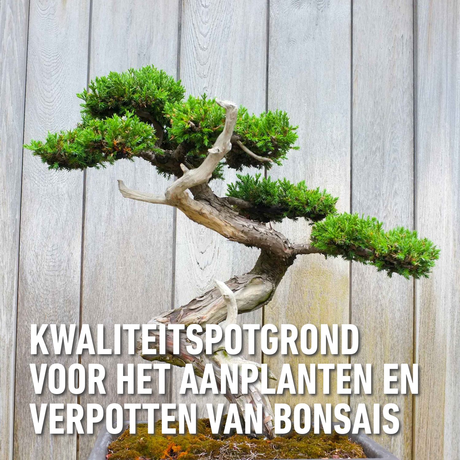 Compo-sana-bonsaipotgrond-5L
