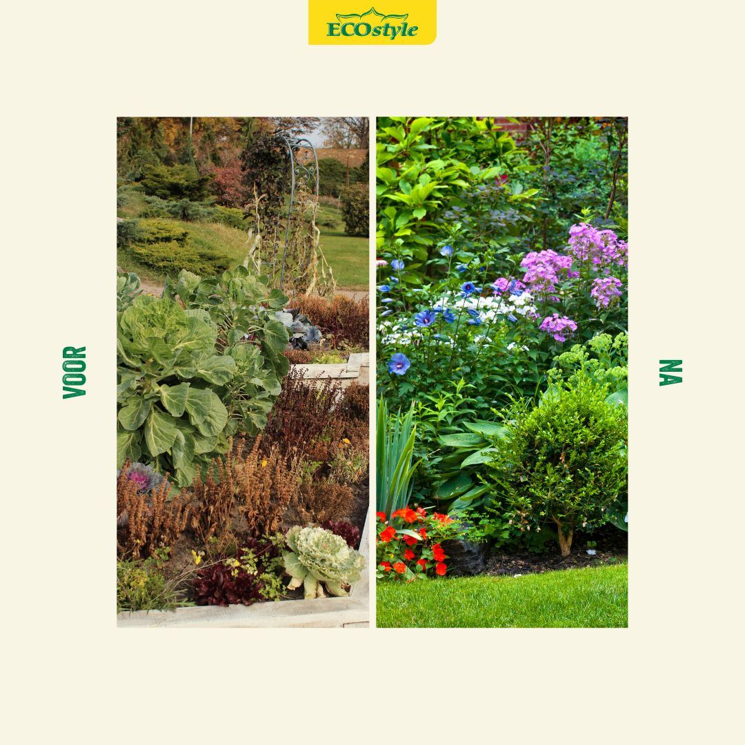 Vaste-planten-AZ-2-75-kg