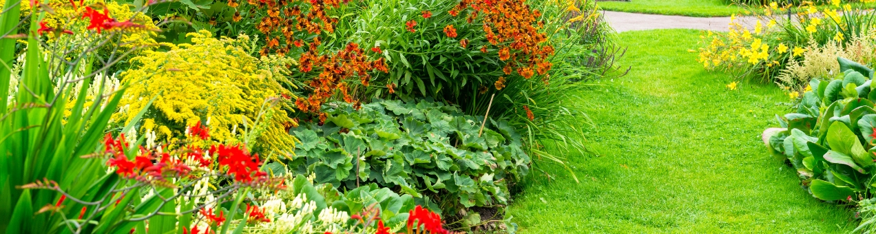Tuinklusjes in juli: Jouw checklist voor een stralende zomertuin