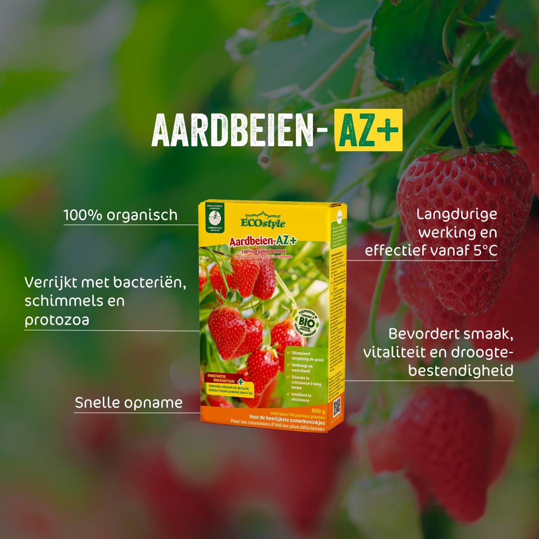 Aardbeien-AZ-800-g