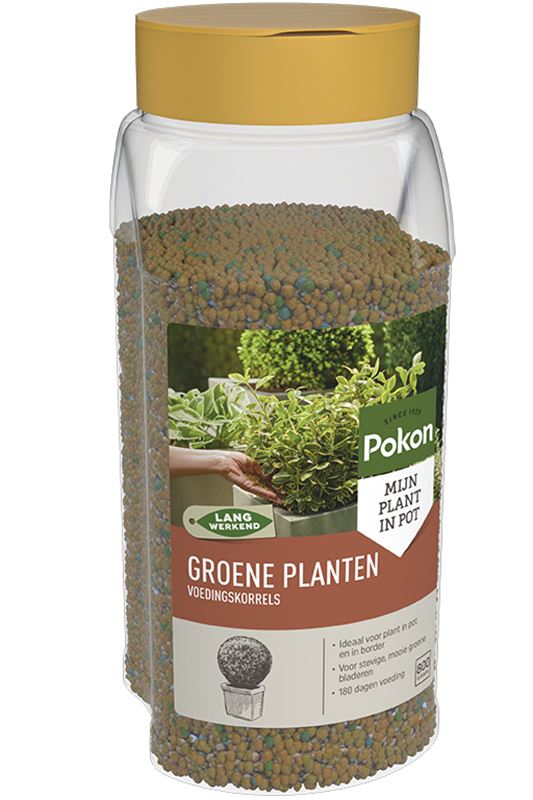Pokon-Voedingskorrels-voor-Groene-Planten-800gr-180-dagen-voeding