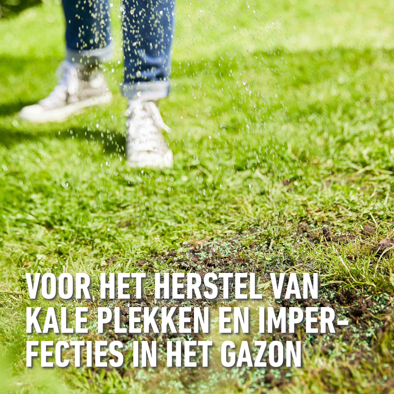 Compo-gazonzaad-gazonherstel-2kg