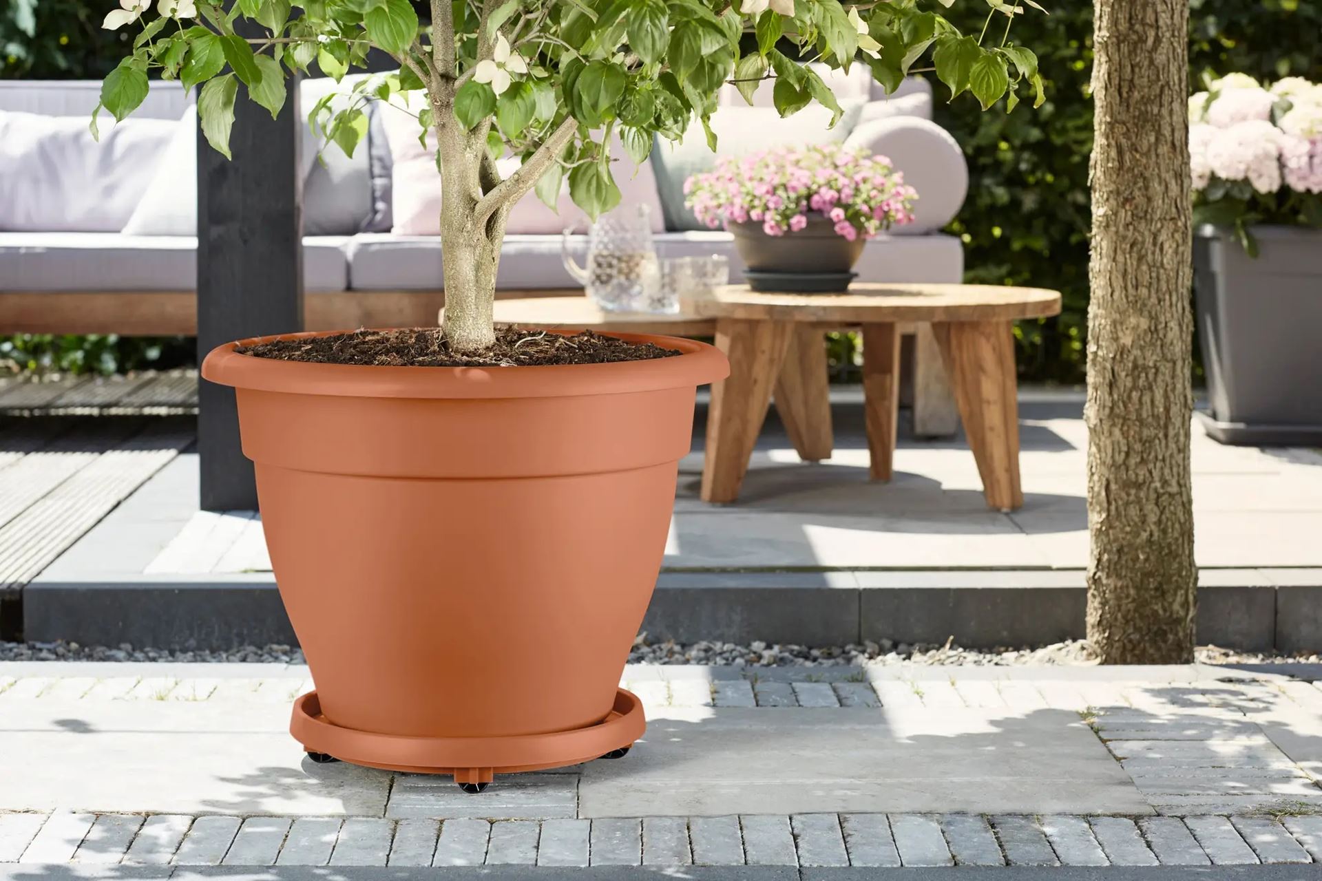 universele-planttaxi-30cm-terra