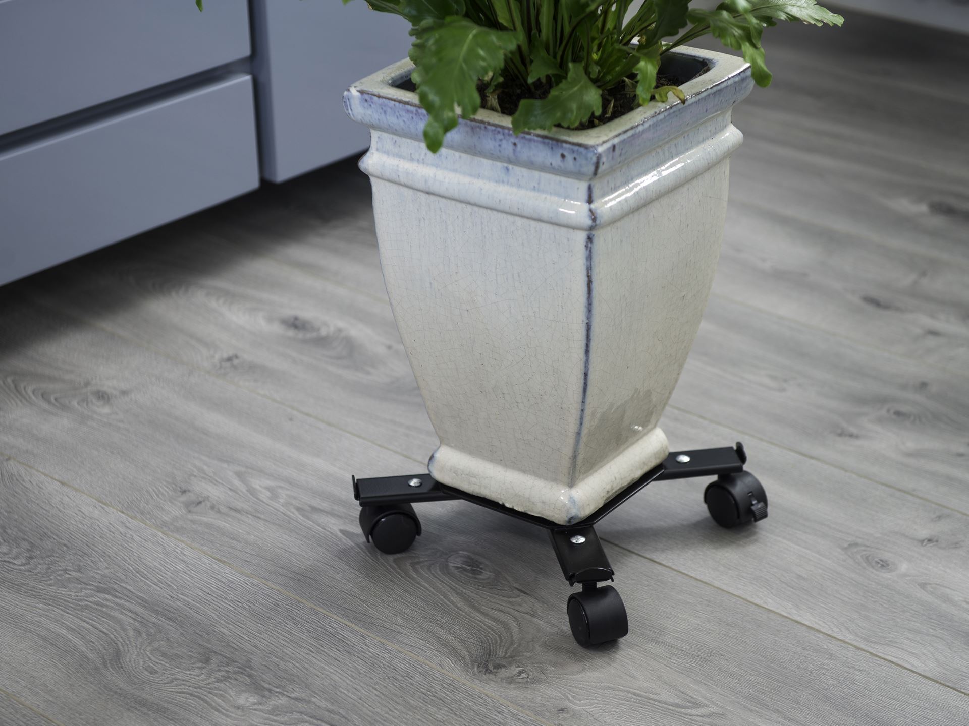 Verstelbare-planttrolley-epoxy-metaalkleur-mat-zwart-4-armen-draaggewicht-100-kg-4-PP-40-mm-wielen-2