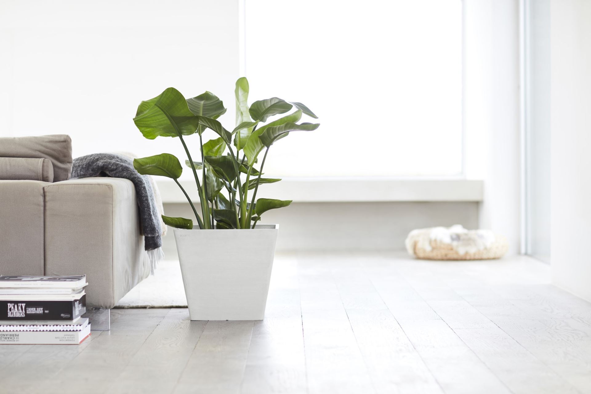 ecopots-Rotterdam-Pure-White-LBH-40x40x35-cm