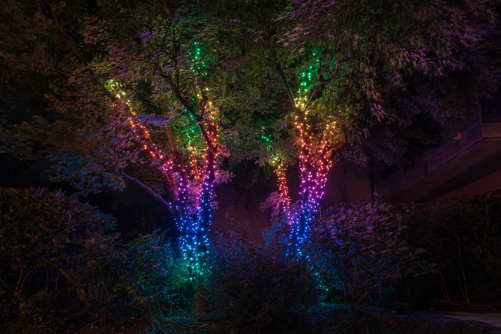 Twinkly-Stringverlichting-600LED-RGB