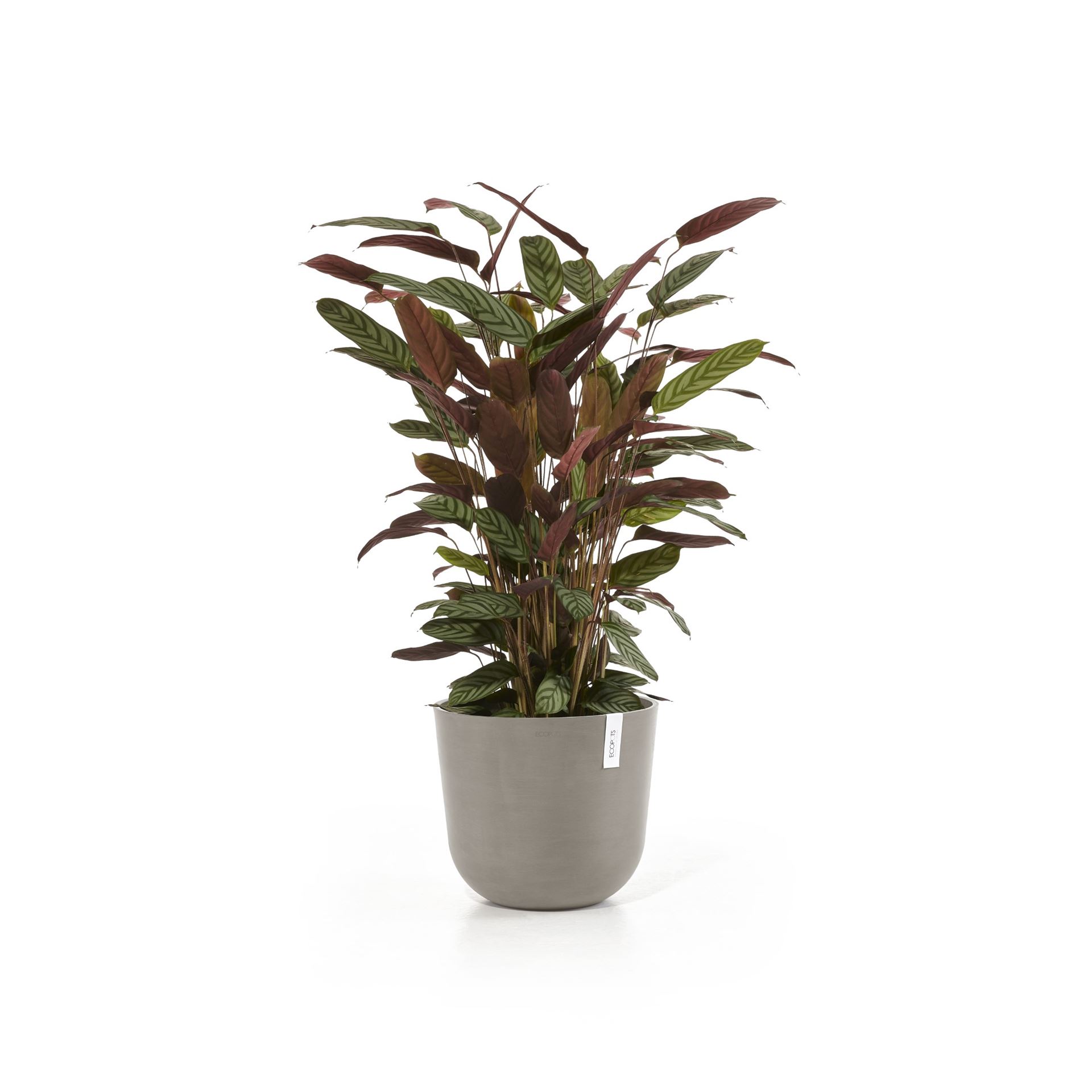 Ecopots-oslo-taupe-35-cm-H30-5-cm