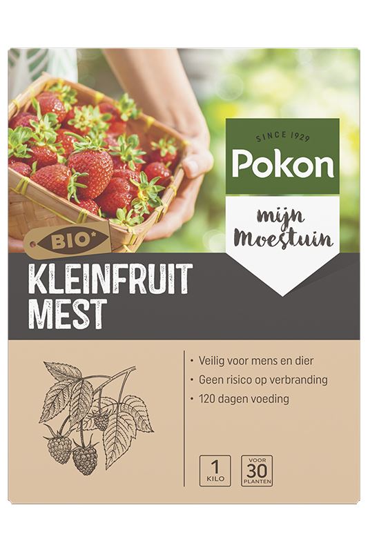 Pokon-Bio-Kleinfruit-Voeding-1kg