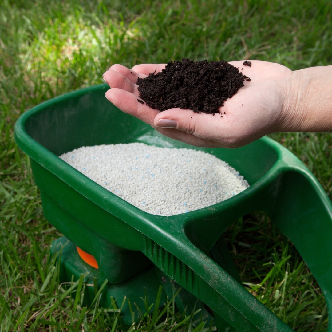 autumn fertiliser lawn