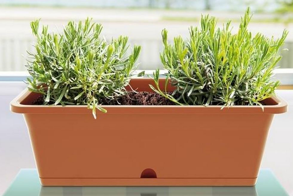 Prosperplast Camelia - Flower Pot - Terracotta - 15.5 Liter - For Outdoor - Durable Design