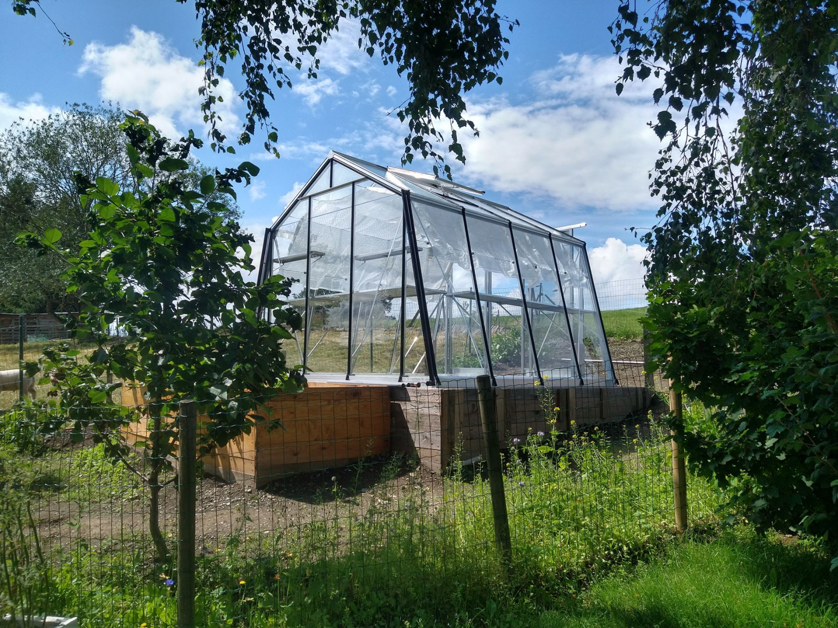 ACD Prestige S104 serre - 3,06 x 2,98m - Aluminium