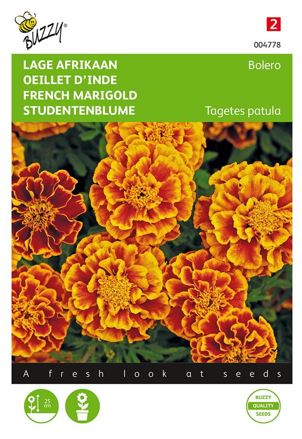 Buzzy® Lage afrikaan zaden - Tagetes Bolero 