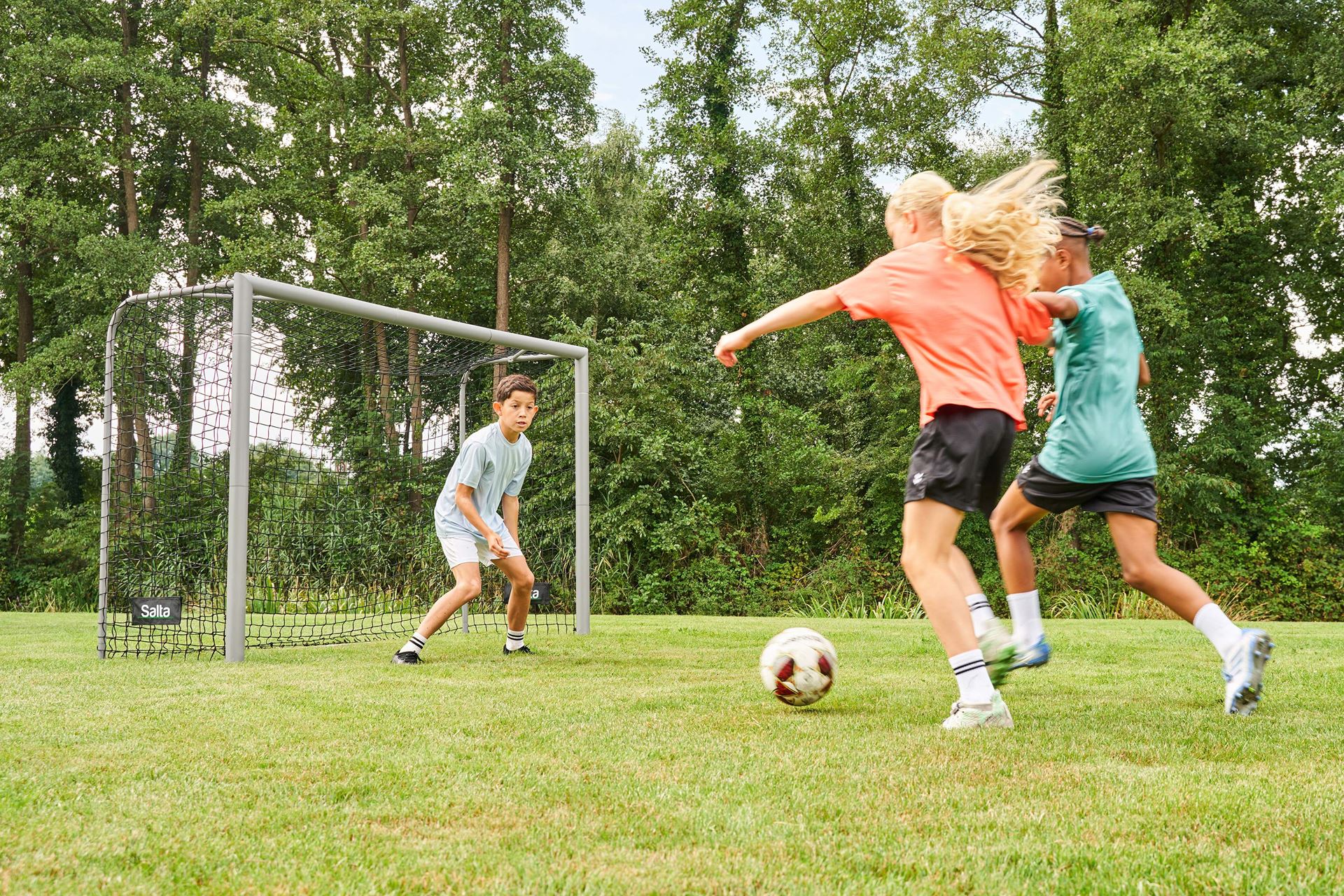 Salta-Champion-240x160x85cm