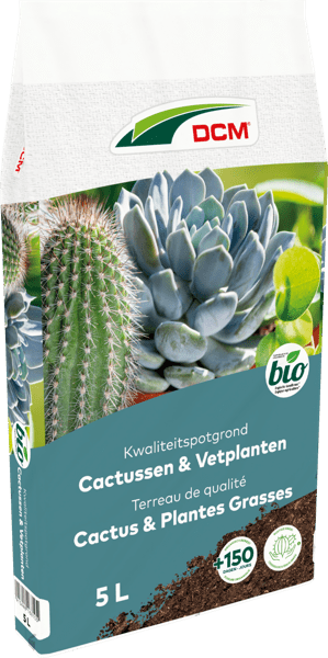 DCM Potgrond Cactussen & Vetplanten 5 L - Potgrond met lava voor cactussen en vetplanten
