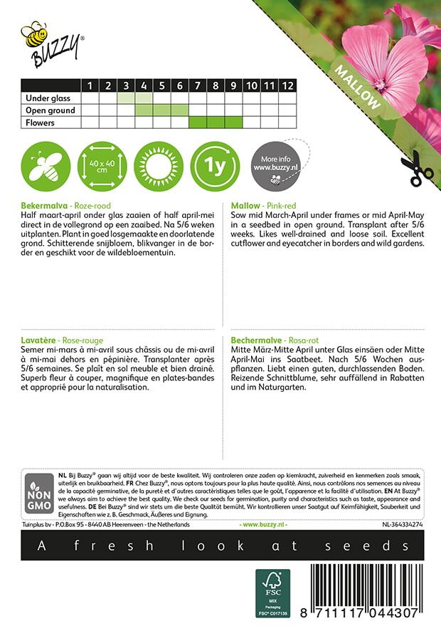 Buzzy-Lavatera-Bekermalva-Roze-Rood