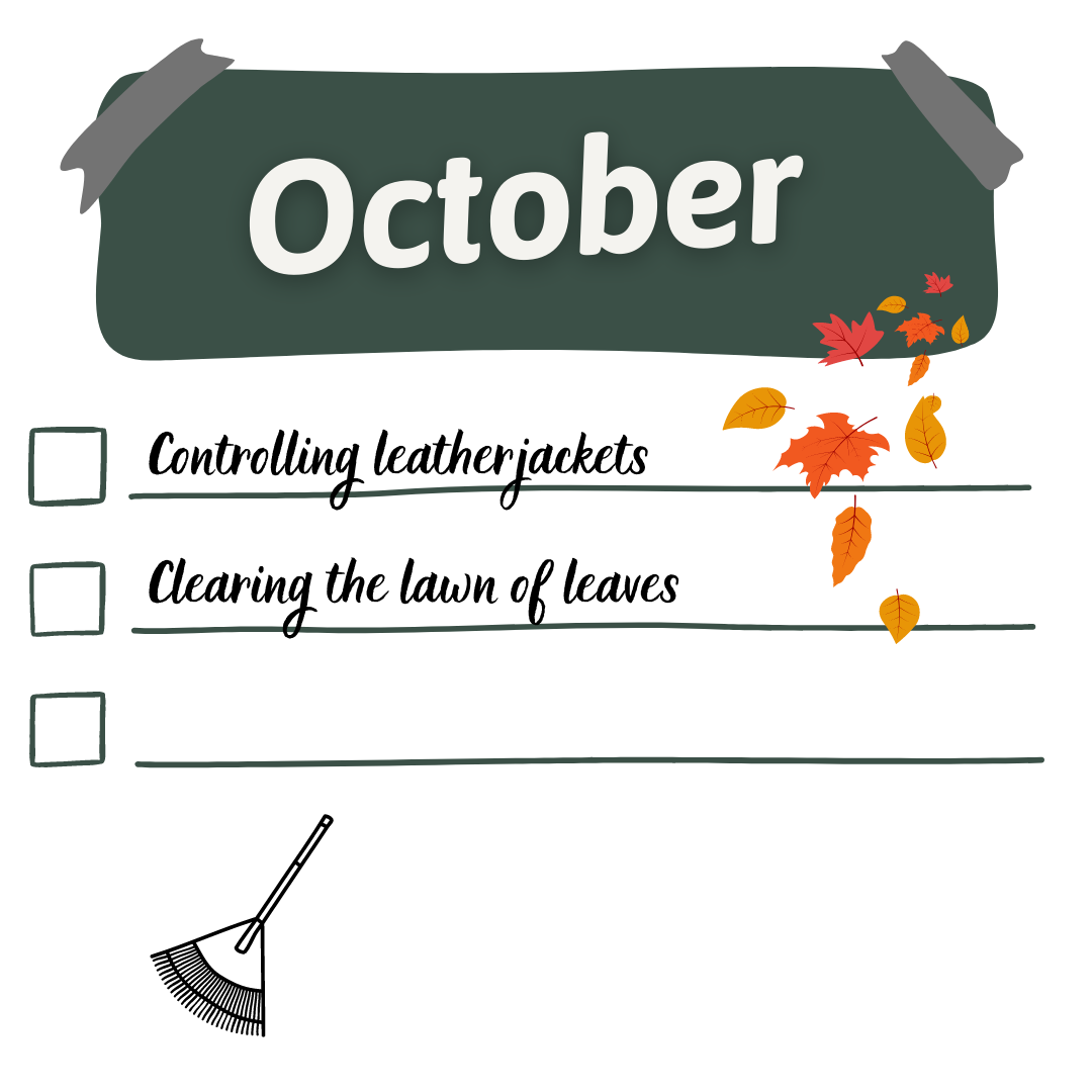 lawn guide october