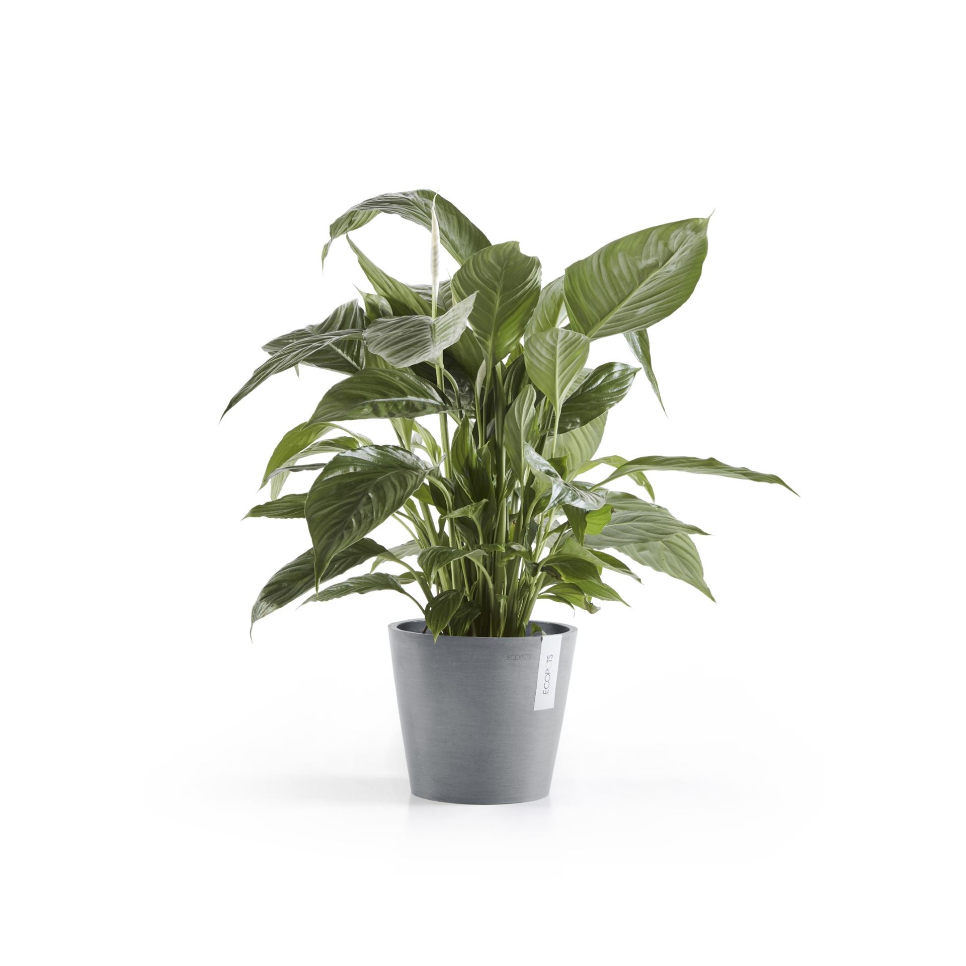 Ecopots-amsterdam-blue-grey-20-cm-H17-5-cm-incl-waterreservoir