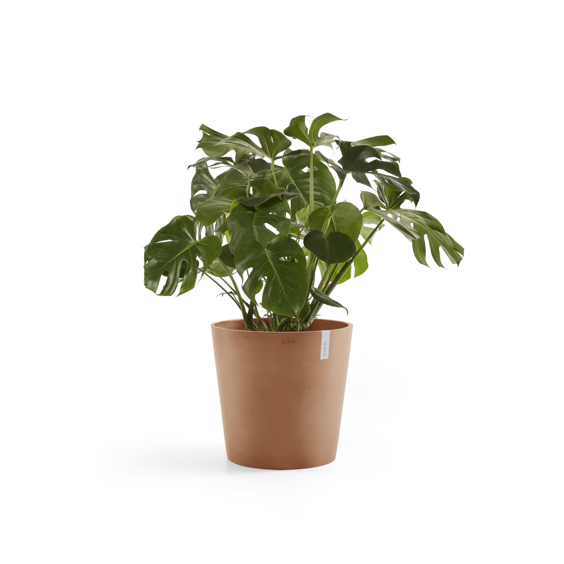 Ecopots-amsterdam-terra-50-cm-H44-3-cm