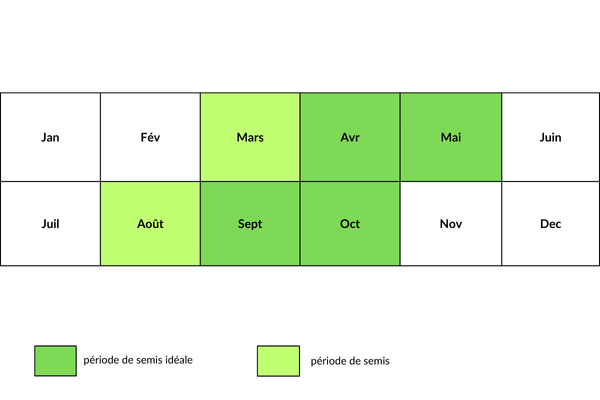 calendrier de semis de pelouse