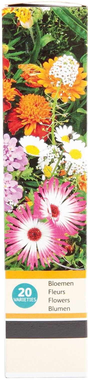 Buzzy-Friendly-Flowers-Bijen-Laag-15m-16-