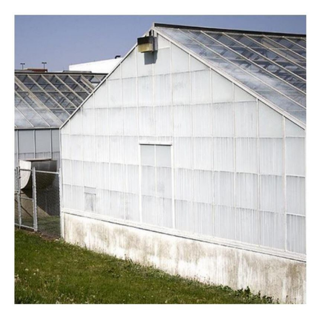 Ecran anti-pluie blanc pour verre de serre - seau 5kg - 200m²