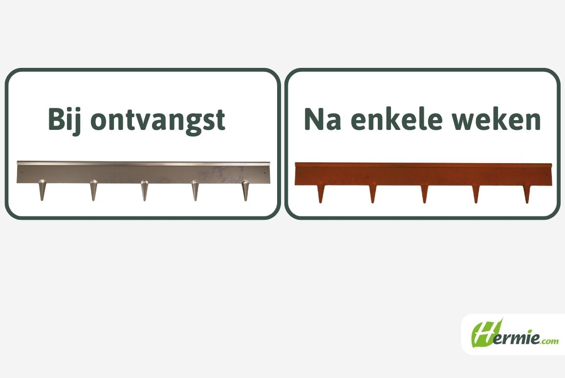 Famiflora démarcation en acier corten - avec sommet arrondi - H : 16cm x L : 100cm - 1.2mm d'épaisseur - y compris les piquets de terre - Qualité européenne !