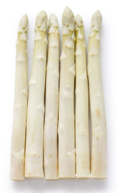 Debaere asparagus roots biennial 'Argenteuil' (ideal for white asparagus) - set of 10 plants