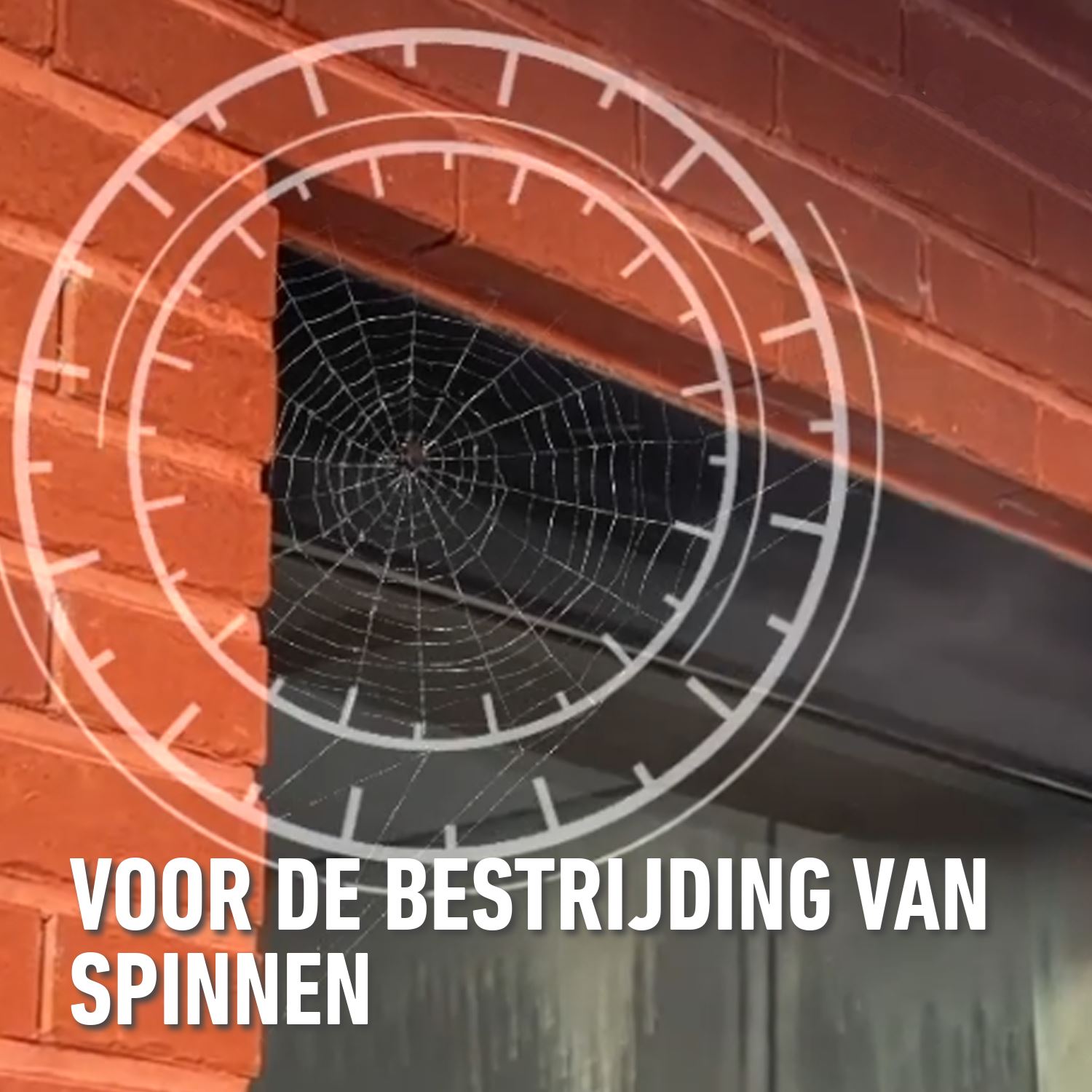 Barriere-insect-zero-tegen-mieren-spinnen-en-bedwantsen-400ml