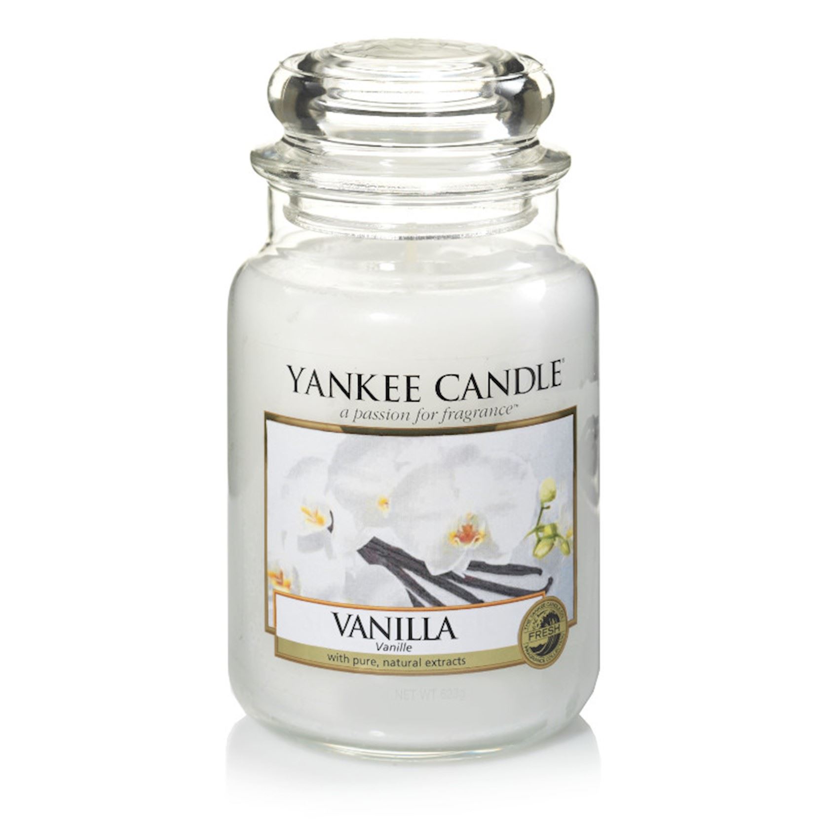 Vanilla-Large-Jar