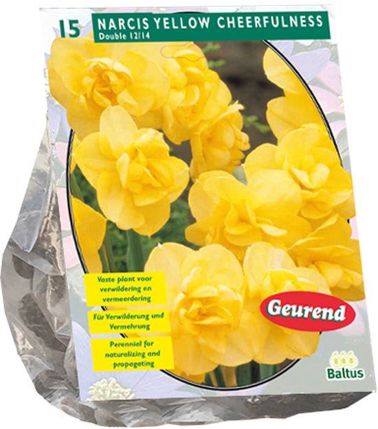 Narcis-Yellow-Cheerfulness-per-15