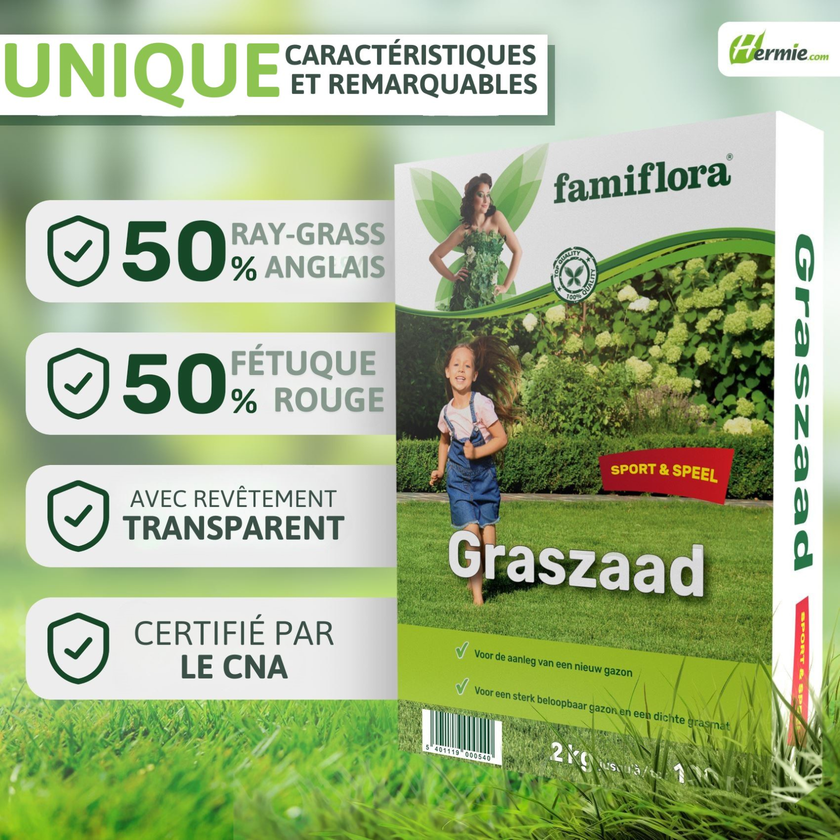 Famiflora semences de gazon jeu & sport 2 kg (jusqu'à 100 m²)