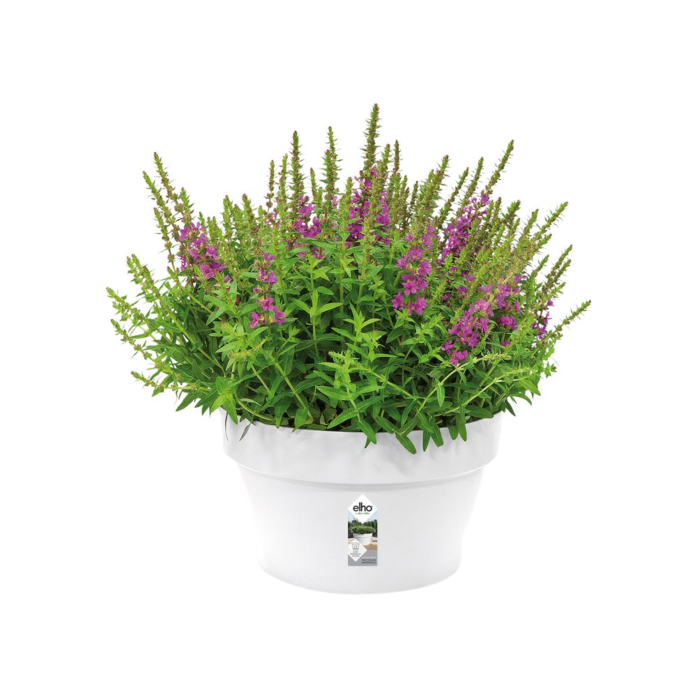 schaal-Loft-Urban-35cm-wit