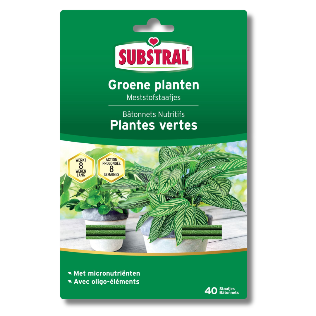 Engrais Substral pour plantes vertes - bâtonnets - 40 pièces