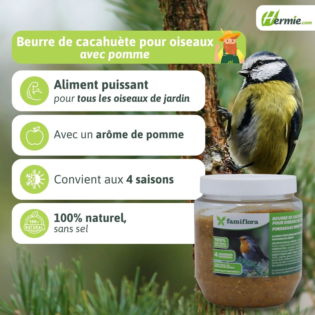 Famiflora peanut butter for garden birds with apple (aroma) - 350 gr - Bird peanut butter