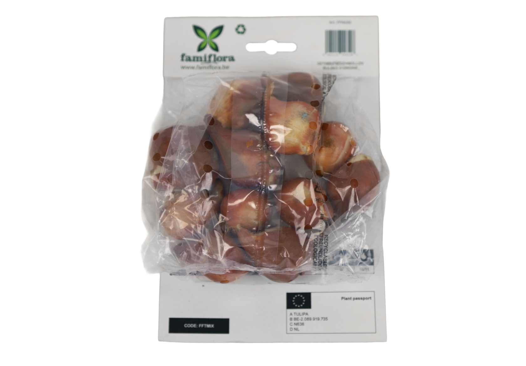 Famiflora Tulipa Greigii Mix - Voorjaarsbloeiers - 12 bloembollen
