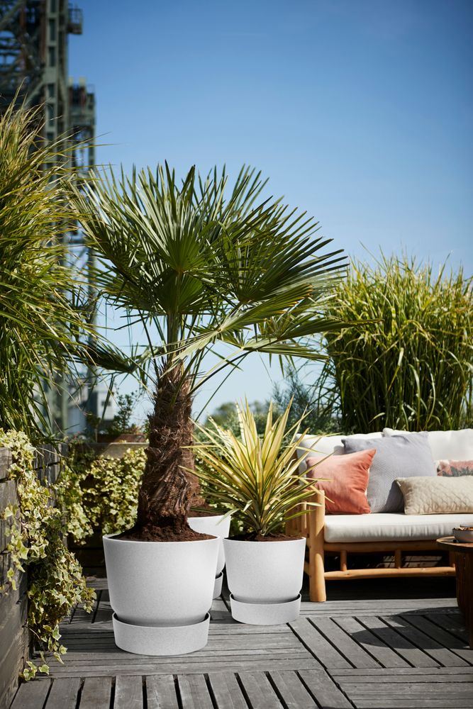 greenville-rond-30cm-living-concrete