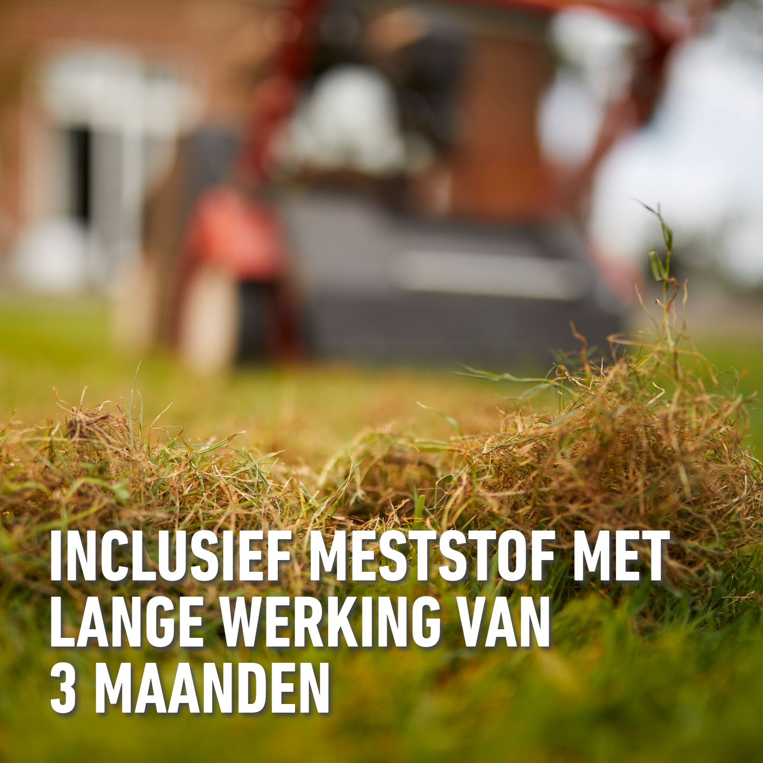 Compo-verticuteermix-150-m-4kg