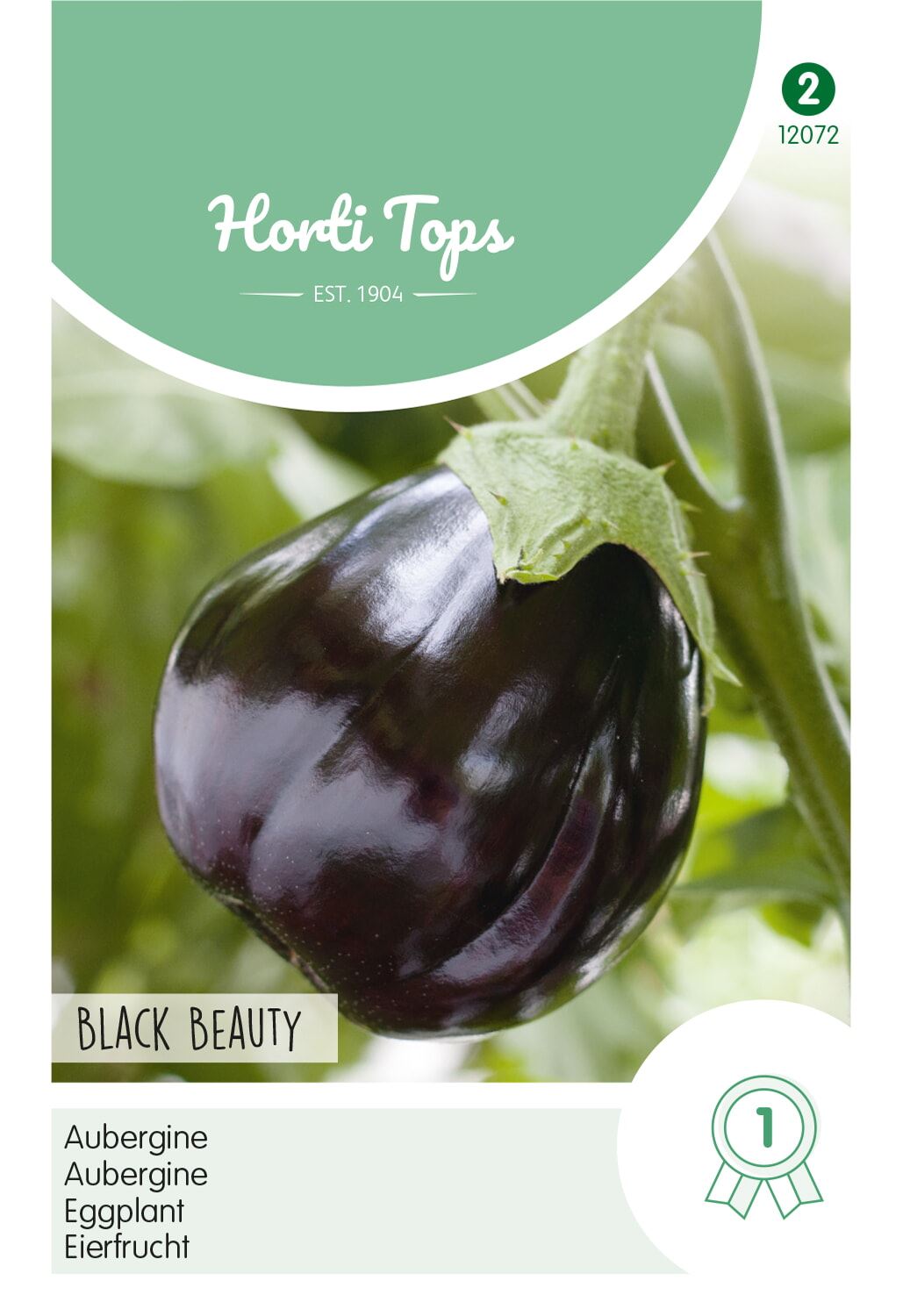 HTS-Aubergine-Black-Beauty